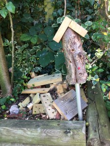 Buzymum - Homemade bug hotels