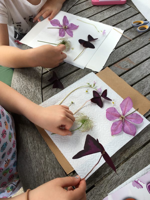 Buzymum - Spacing the flowers so they don't touch each other during pressing