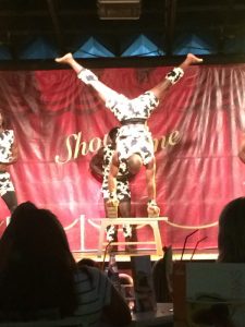 Buzymum - Viva Sunrise entertainment