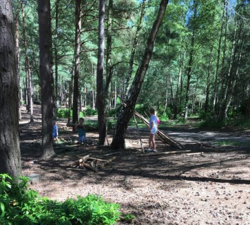Buzymum - The woodland by the Discovery Centre