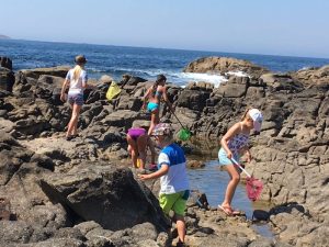 Buzymum - Rock-pooling in Baiona, Spain