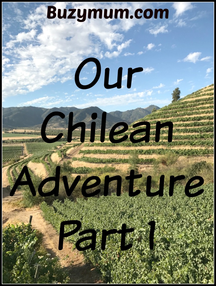 Buzymum - Our Chilean Adventure- Part 1