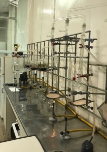 Buzymum - Determining the alcohol content of the wine.