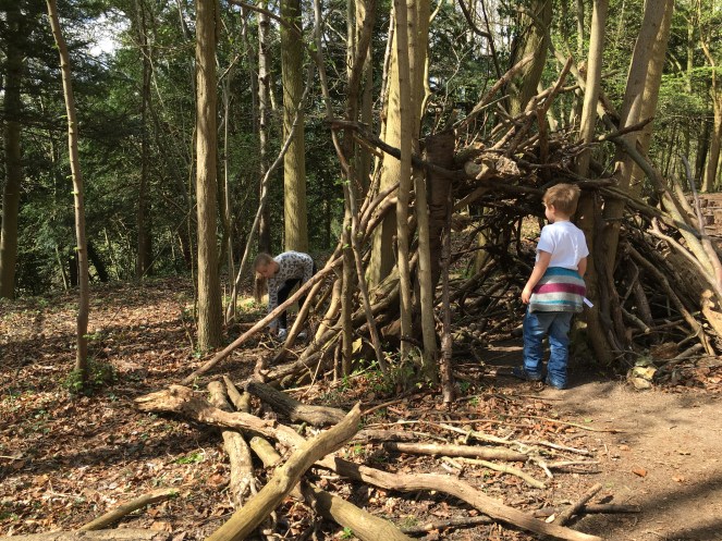 Buzymum - Building a camp in the woods at Hughenden manor