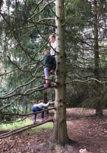 Buzymum - the kids climbing trees at Cliveden