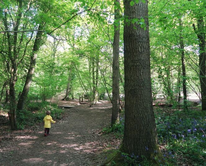 Buzymum - Photo by Danielle Duggins, Someone's Mum