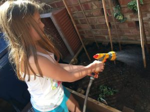 Buzymum - watering the newly planted seeds and plants