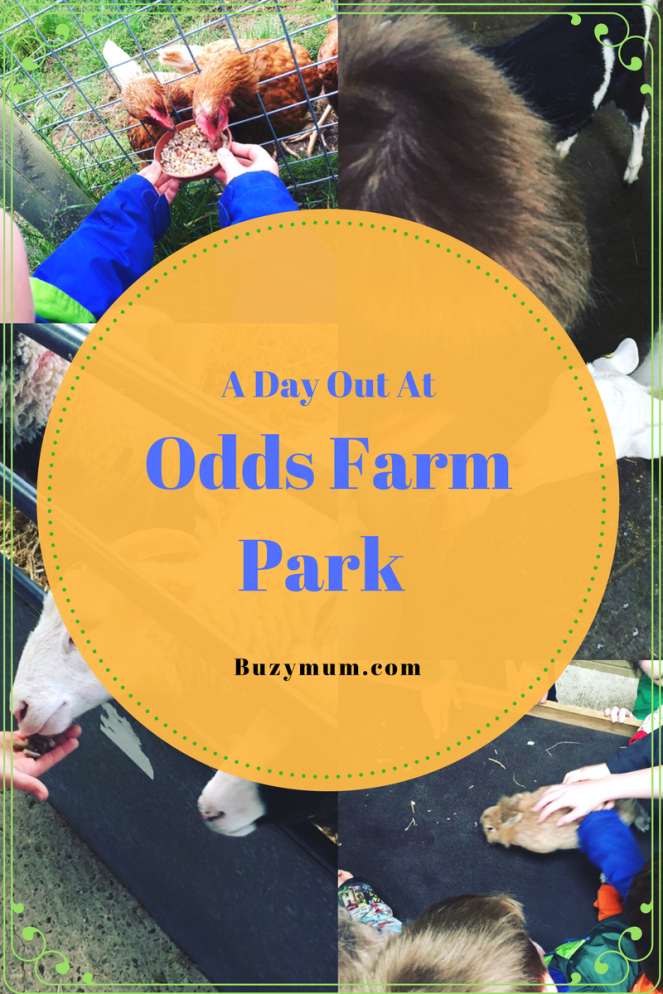 Buzymum - A day out at Odds Farm Park