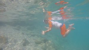 Buzymum - Great shot of the Boy snorkelling!