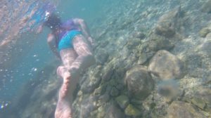 Buzymum - The kids loved snorkelling