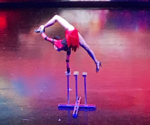 Buzymum - More from the Mongolian circus, our favourite show!