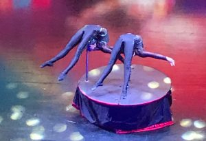 Buzymum - The circus performers were amazing